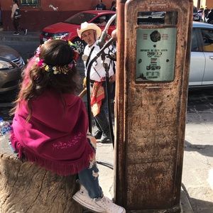 Meet your Posher, Daisy